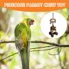 Bird Chew Toy - Pine Cone view 3