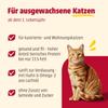 animonda Carny Sterilised Cat Dry Food, Chicken + Turkey (1 x 10 kg) view 2