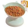 Anti-Vomiting Cat Bowl view 1