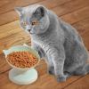 Anti-Vomiting Cat Bowl view 2