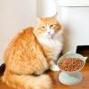 Anti-Vomiting Cat Bowl view 3