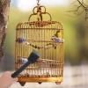 BESPORTBLE Bird Cage Cleaning Brush view 2