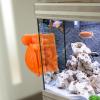 Turtle Magnetic Glass Cleaner view 3