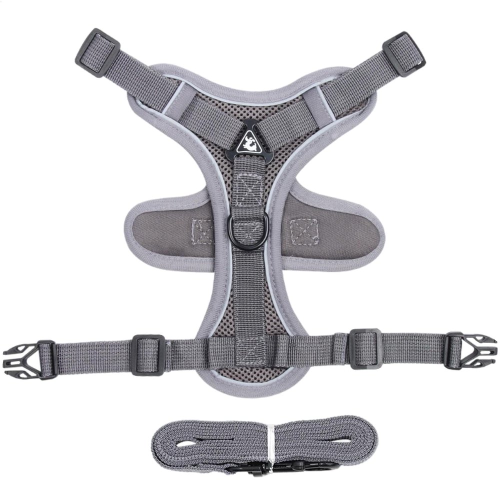 Cat Harness and Leash Set