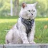 Cat Harness and Leash Set view 2