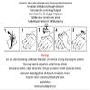 2 Sheets Temporary Bull Tattoo, Bull Head and Arrow Designs view 3