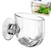 Acrylic Plant Pot for Aquariums view 3