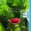 Acrylic Plant Pot for Aquariums view 4