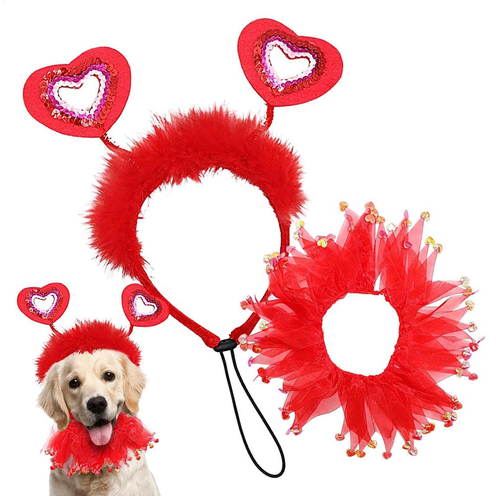 Valentine's Day Dog Costume Set