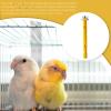 Flat Bird Perch view 3