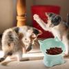 Elevated Cat Bowls - Whisker Friendly view 3
