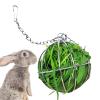 Hanging Hay Feeder Ball for Rabbits view 1