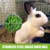 Hanging Hay Feeder Ball for Rabbits view 3
