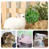 Hanging Hay Feeder Ball for Rabbits view 4