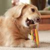 Interactive Dog Chew Toy - Denta Fun Ring view 2