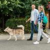 Dog Training Treat Bag view 3