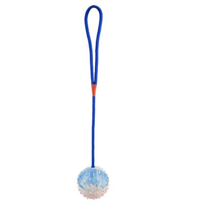 Dog Ball with Rope