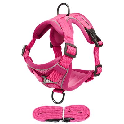 Cat Harness with Leash