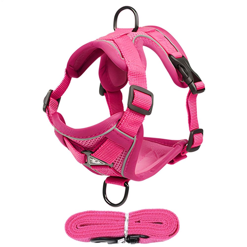 Cat Harness with Leash