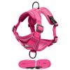 Cat Harness with Leash view 1