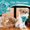 Adjustable Cat Harness with Leash view 2