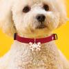 Opilroyn Dog Collar with Bowtie view 3