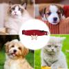 Opilroyn Dog Collar with Bowtie view 4