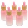 SKISUNO 5-Pack 15 mL Glass Dropper Bottles, Reusable and Leakproof, for Essential Oils, Makeup, and Beauty Salons, with 2 mL Dropper view 1