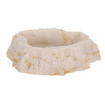 CIYODO Resin Water Bowl for Lizards, Terrarium Dish