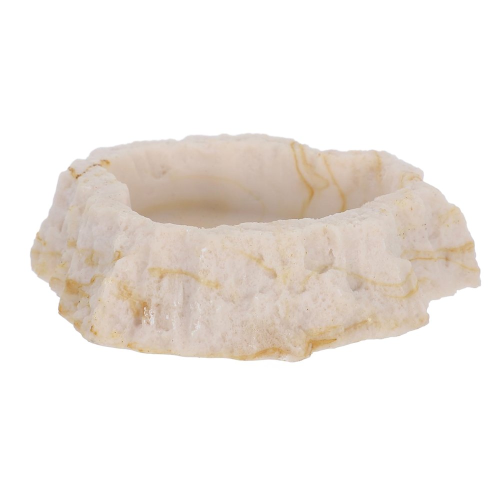 CIYODO Resin Water Bowl for Lizards, Terrarium Dish