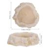 CIYODO Resin Water Bowl for Lizards, Terrarium Dish view 2