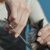CORHAD 6-Piece Stainless Steel Scissor Holders for Pet Grooming view 4