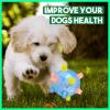 Bouncing Activation Ball for Dogs view 2