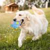 Bouncing Activation Ball for Dogs view 3