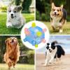 Bouncing Activation Ball for Dogs view 4