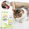 Catnip Spray for Indoor Cats, 60 ml view 2