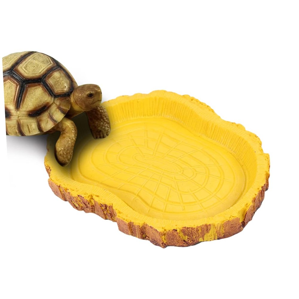 COLLBATH Reptile and Aquarium Food Bowl