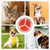 Cat Water Bed - Inflatable Cooling Mat view 4