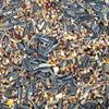 SQUAWK 100% Natural Bird Food Mix - Wheat, Corn, Sorghum, Sunflower Seeds and Millet - Essential Nutrition for Garden Birds view 2