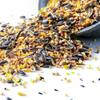 SQUAWK 100% Natural Bird Food Mix - Wheat, Corn, Sorghum, Sunflower Seeds and Millet - Essential Nutrition for Garden Birds view 3