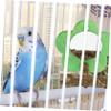 BUGUUYO Parrot Mirror in Flower Shape view 4