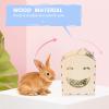 Happyyami Small Animal Feeder Station view 4