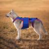 Dog Rehabilitation Garment, Hip Support, Brace, Surgery Shirt view 2
