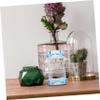 Toddmomy Transparent Chirping Insect Holder, 1-Piece view 3