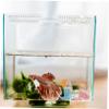 Cabilock Mermaid Aquarium Ornament, 2-Piece Resin Figures, Random Style view 3