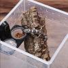 Reptile Food and Water Dish view 3