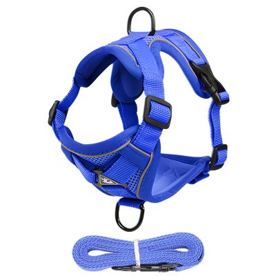 Cat Harness and Leash Set