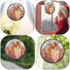Sun Grape Cat Memorial Ornament view 4