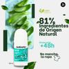 Babaria Aloe Vera Roll-On Deodorant for Women, Men, Children and Adults, Moisturizing, 48-Hour Protection, 100% Vegan, 6-Pack view 4