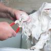 Dog Nail Clipper for Large Dogs - Safe Puppy Nail Trimmer view 2
